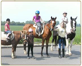 Pony Ponderosa in Düsseldorf Lohausen